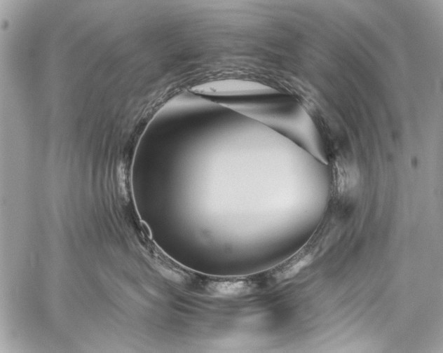 X0000060280575200510281235