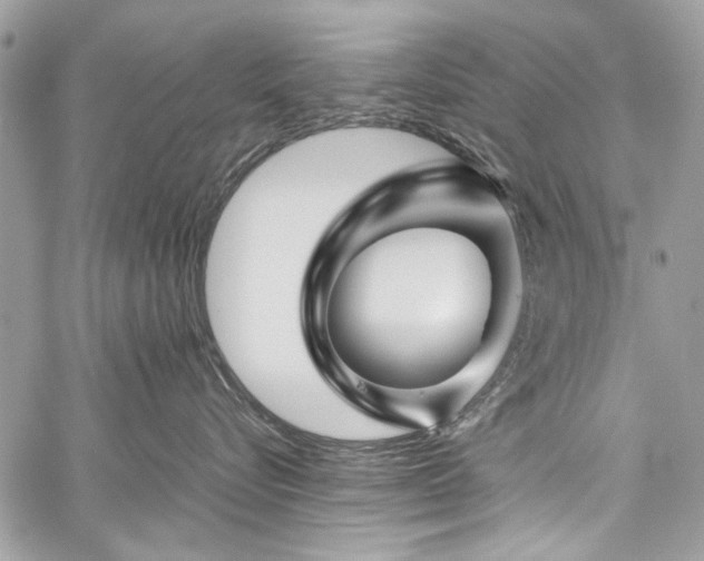 X0000060280576200510281235