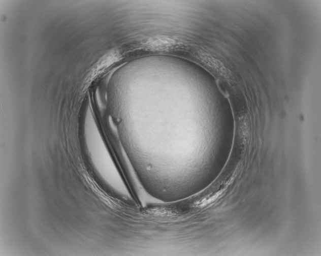 X0000060280589200510281234