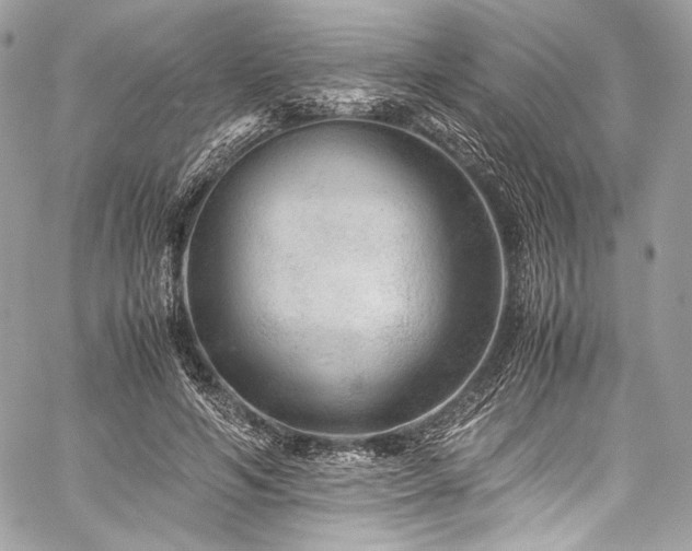 X0000060280594200510281234