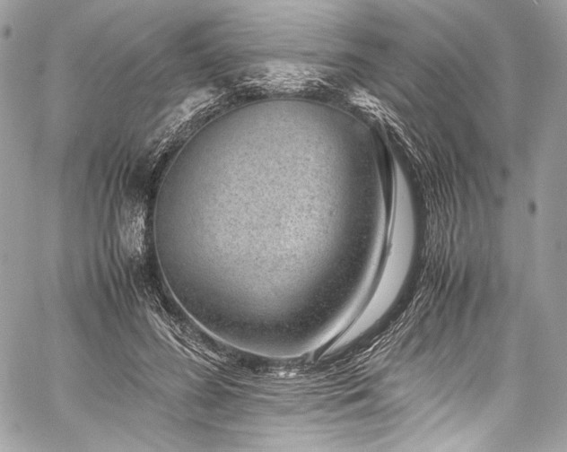 X0000060280596200510281234