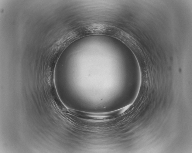 X0000060280604200510281234