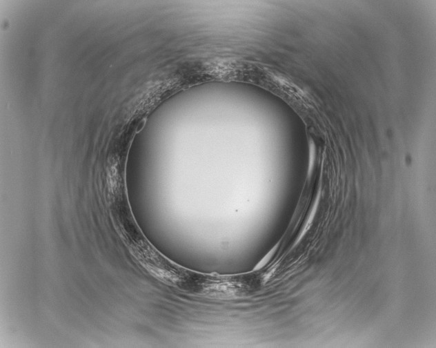 X0000060280611200510281234