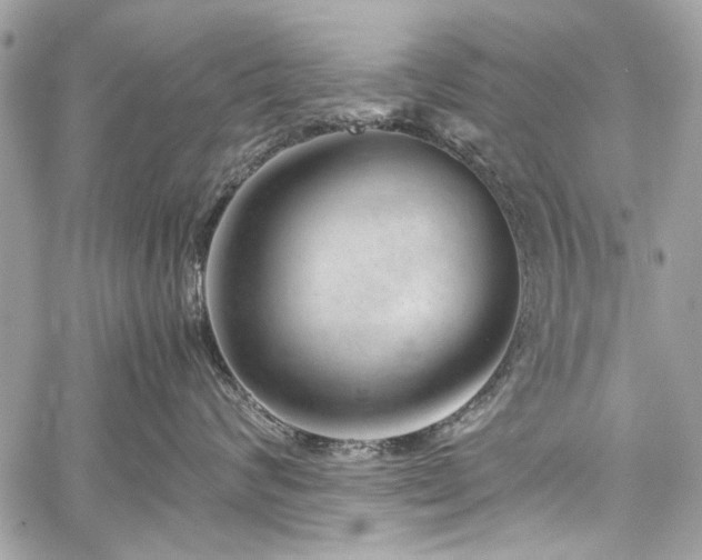 X0000060280624200510281233