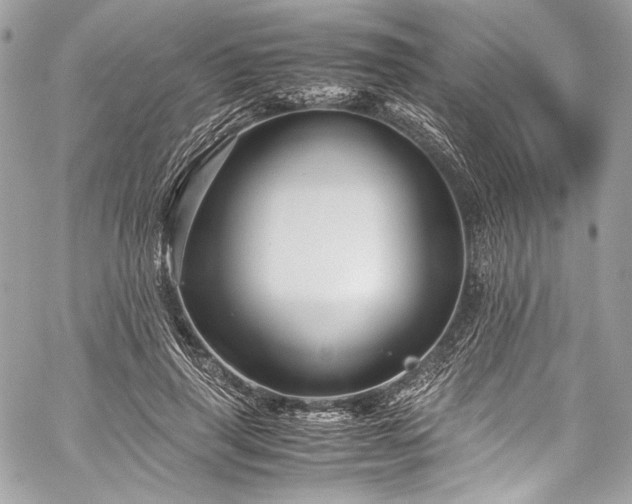 X0000060280645200510281233