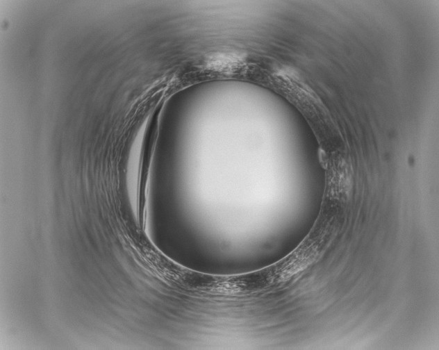 X0000060280656200510281233