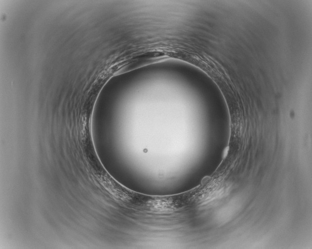 X0000060280660200510281233