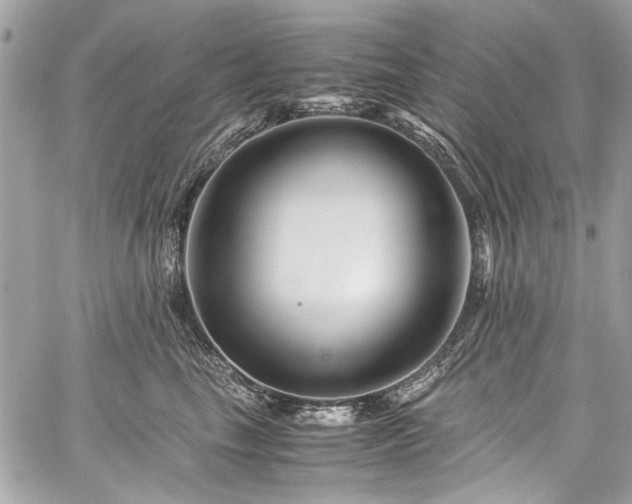 X0000060280665200510281233