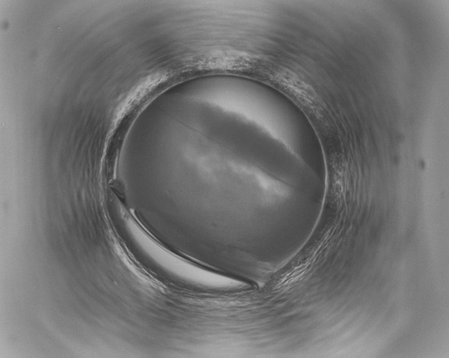 X0000060280678200510281232
