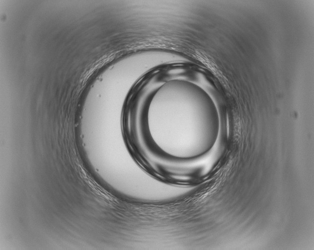 X0000060280681200510281232