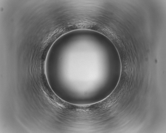 X0000060280690200510281232