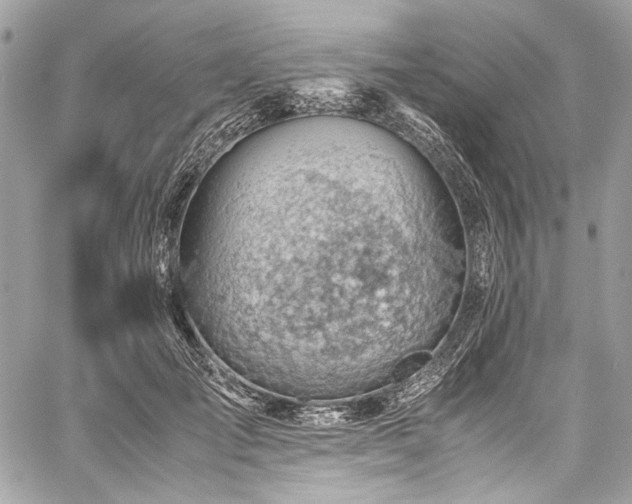 X0000060280701200510281232
