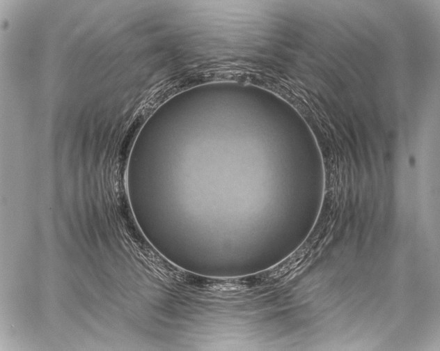 X0000060280708200510281232