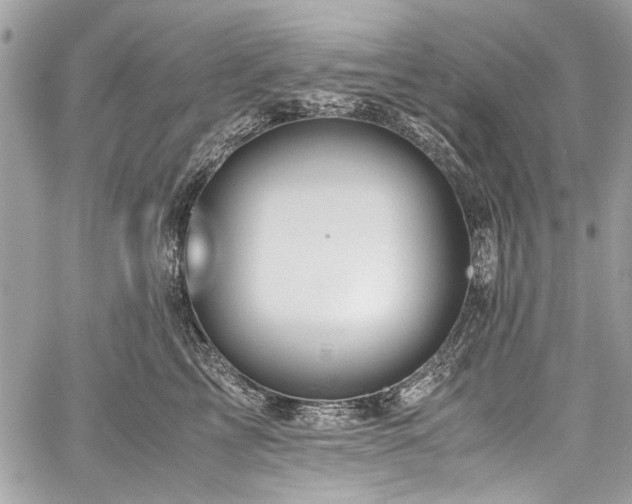X0000060280713200510281232