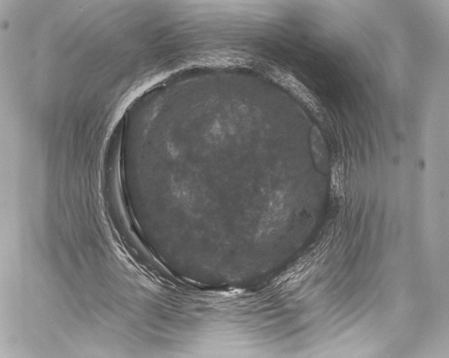 X0000060280724200510281231