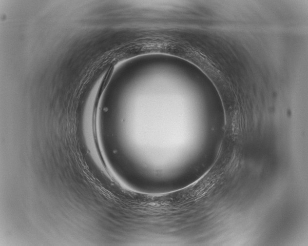 X0000060280737200510281231