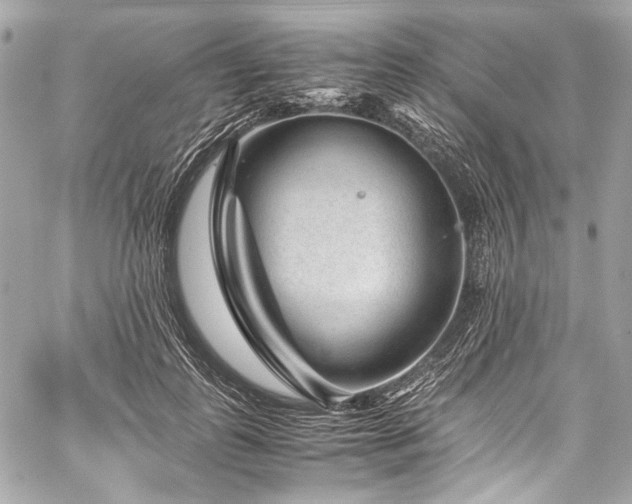 X0000060280747200510281231