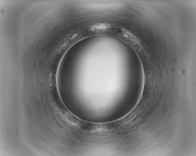 X0000060280750200510281231
