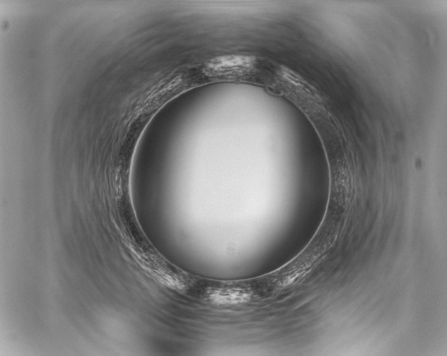 X0000060280751200510281231
