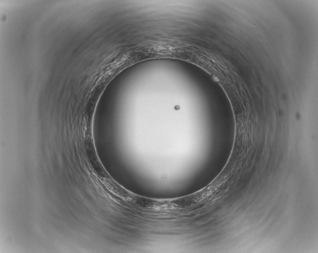 X0000060280752200510281231