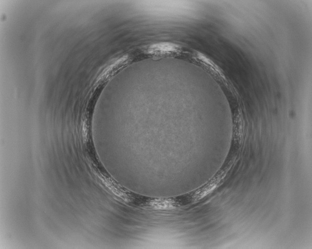 X0000060280762200510281232