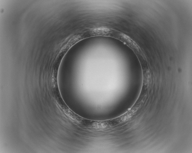 X0000060280764200510281232