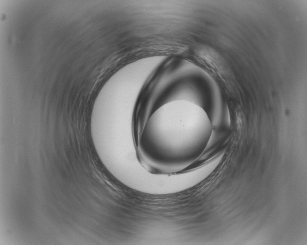 X0000060280766200510281232