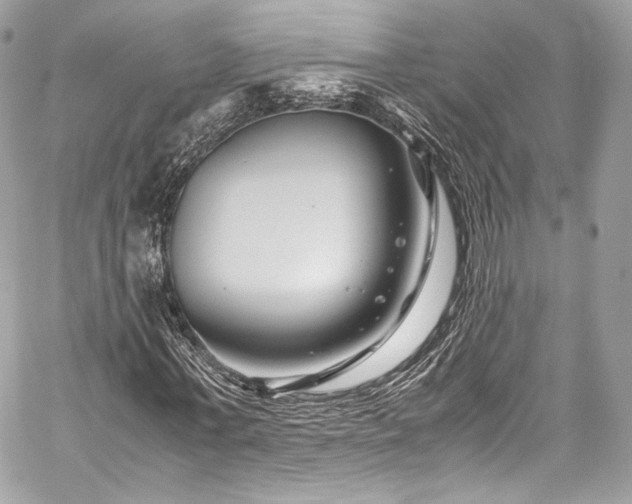 X0000060280771200510281231