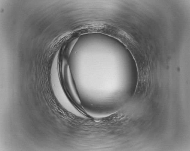X0000060280773200510281231