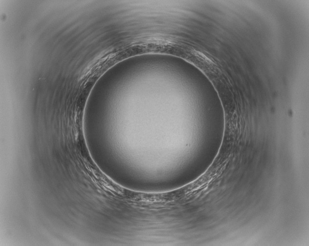 X0000060280774200510281231