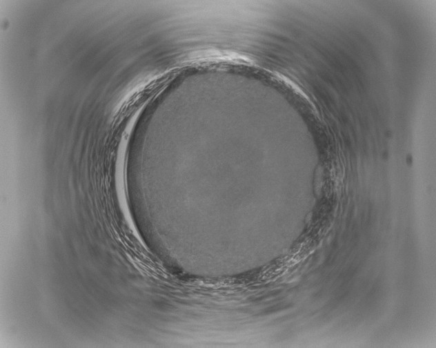 X0000060280775200510281231