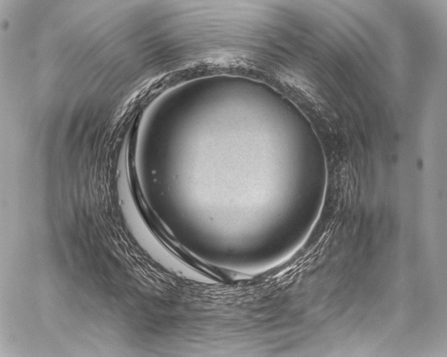 X0000060280776200510281231
