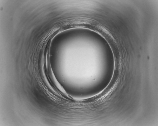 X0000060280777200510281231