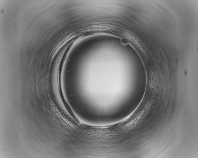X0000060280786200510281231