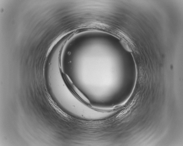 X0000060280788200510281231