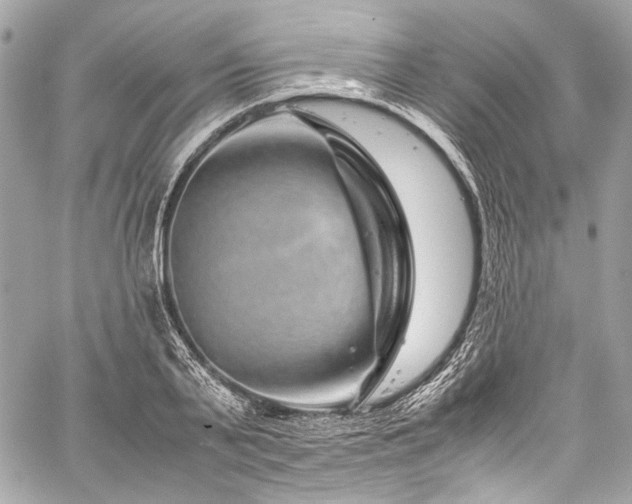 X0000060280791200510281231