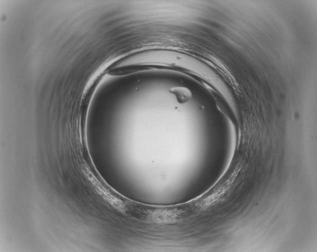 X0000060280796200510281230