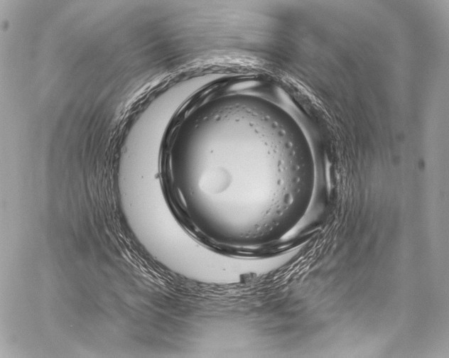 X0000060280824200510281229