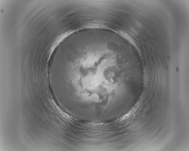 X0000060280831200510281230