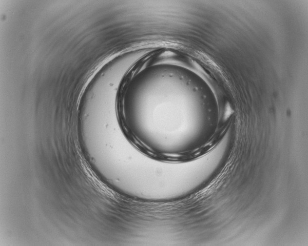 X0000060280836200510281230