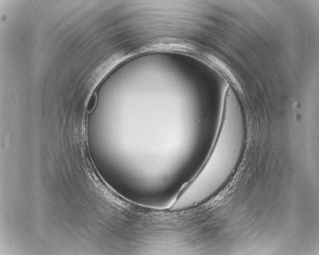 X0000060280852200510281230