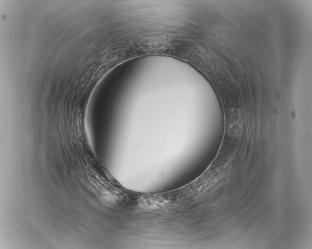 X0000060280866200510281229