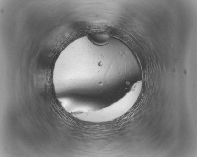 X0000060280867200510281229