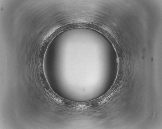 X0000060280871200510281229