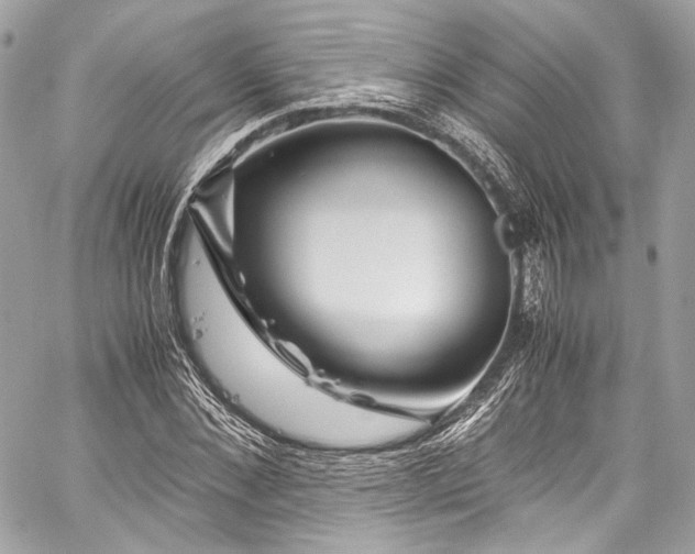 X0000060280876200510281229