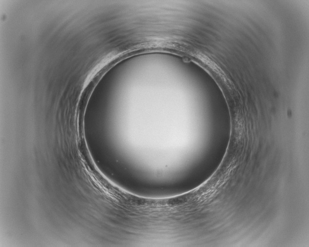 X0000060280886200510281229