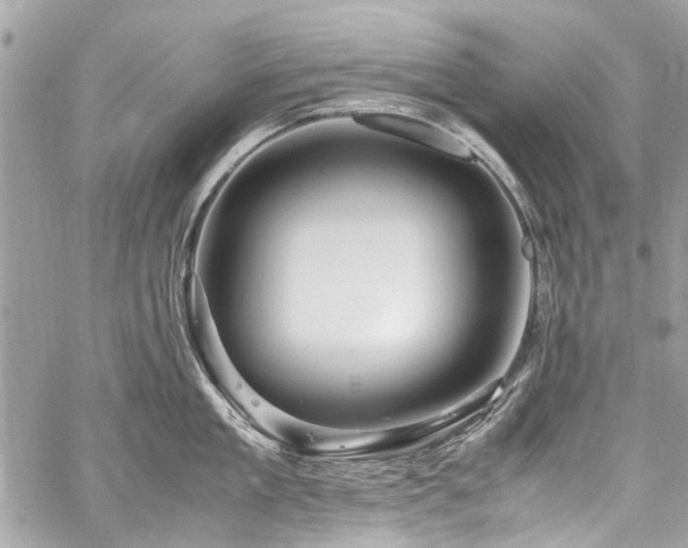 X0000060280909200510281229