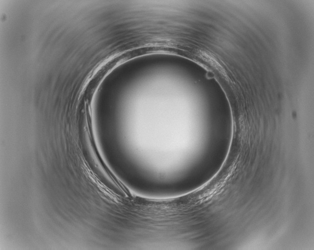 X0000060280931200510281228