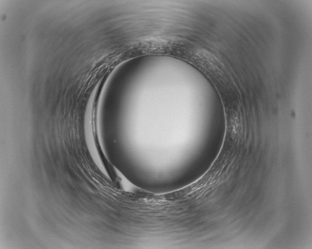 X0000060280964200510281228