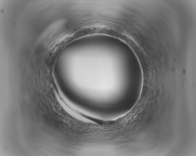 X0000060280967200510281228